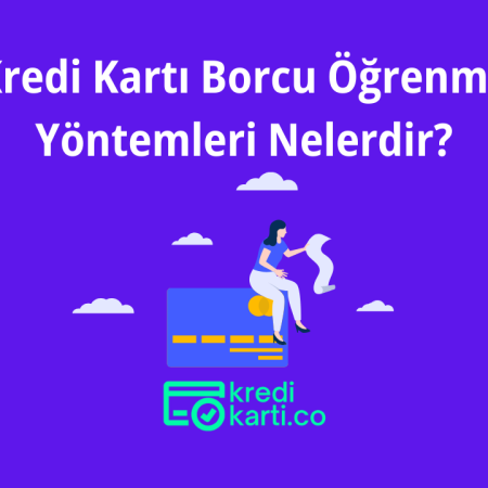 Kredi Kartı Borcu Öğrenme Yöntemleri Nelerdir?