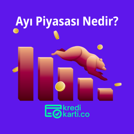Ayı Piyasası Nedir?