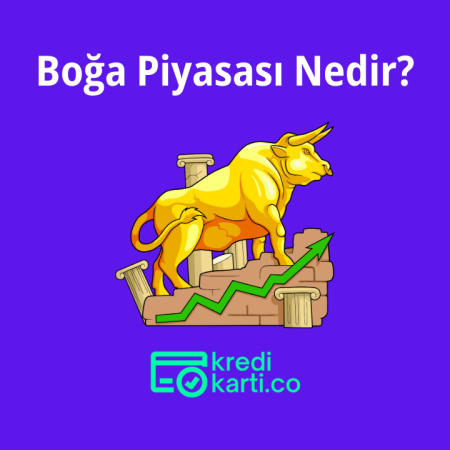 Boğa Piyasası Nedir?