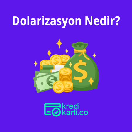 Dolarizasyon Nedir?
