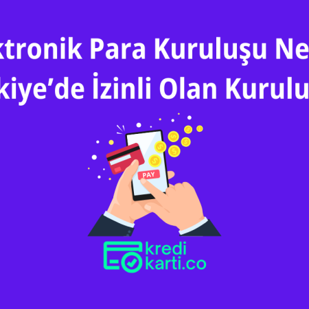 Elektronik Para Kuruluşu Nedir? Türkiye’deki Kuruluşlar