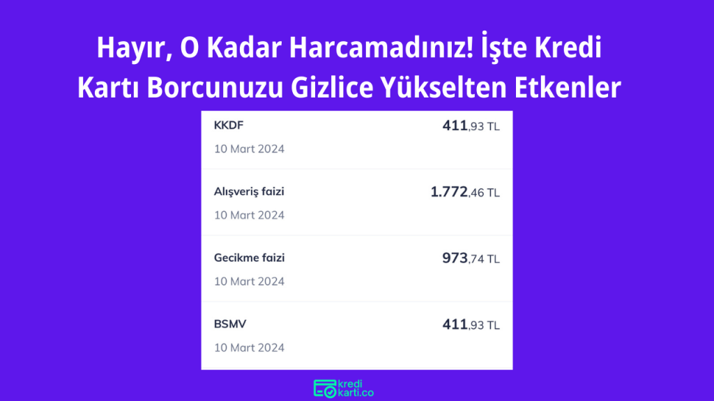 kredikartıborcunuznedenyukseldi