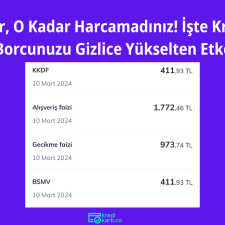 Kredi Kartını İlk Aldığımda Borç Bu Kadar Yüksek Gelmiyordu, Ne Oldu?