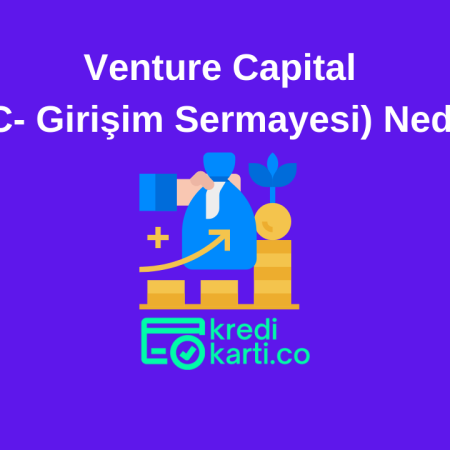Venture Capital (VC- Girişim Sermayesi) Nedir?