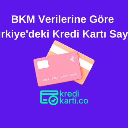 BKM Verilerine Göre Türkiye’deki Kredi Kartı Sayısı